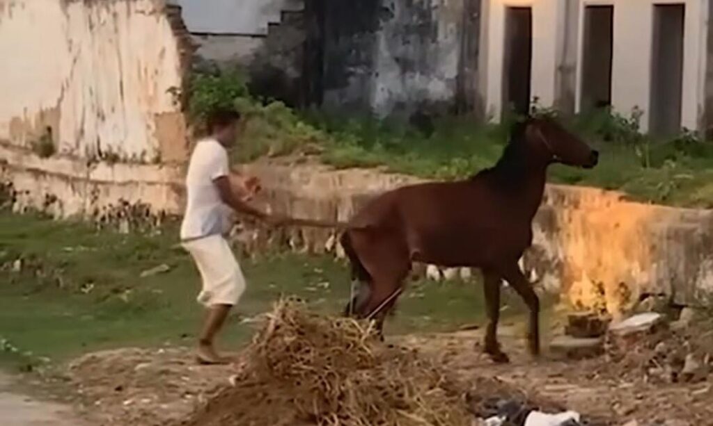 Notícias de Sergipe