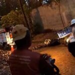 cavalo eletrocutado em Lagarto