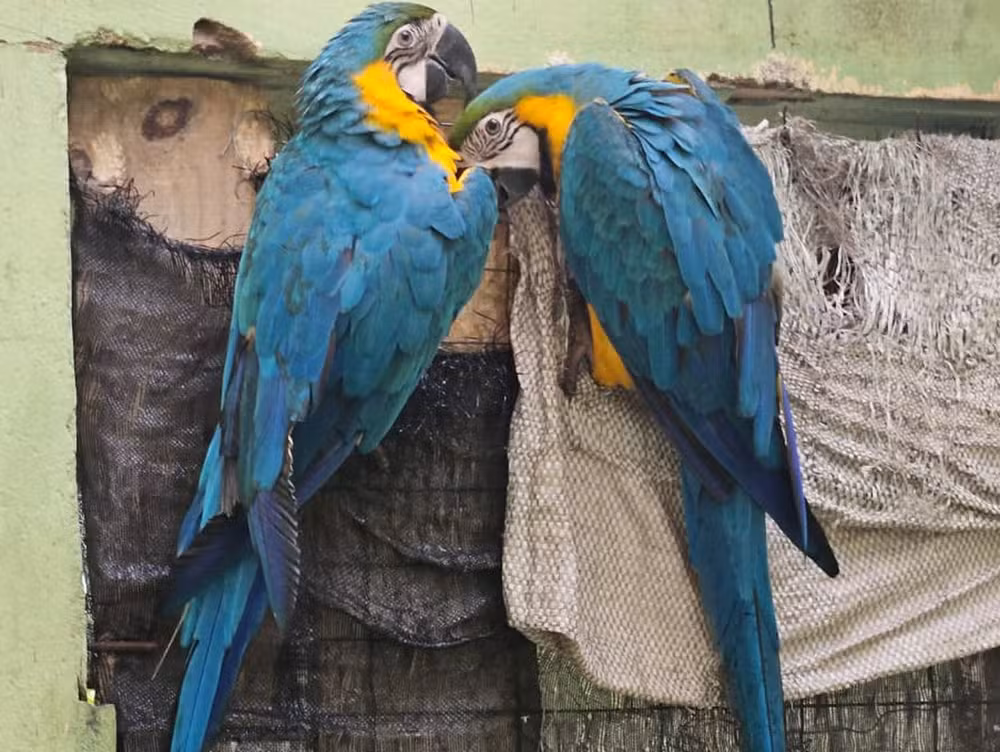 Operação Soberba Sergipe