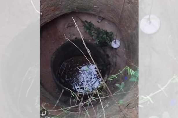 Cachorro sendo resgatado de cisterna pelo Corpo de Bombeiros em Lagarto