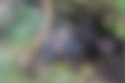 Corpo de mototaxista encontrado amarrado e carbonizado em Itaporanga D’Ajuda