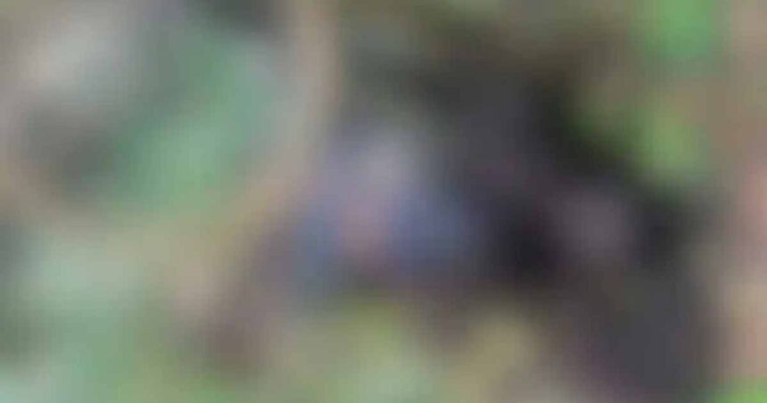 Corpo de mototaxista encontrado amarrado e carbonizado em Itaporanga D’Ajuda