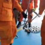 Corpo de Bombeiros resgata jiboia dentro de carro em Lagarto, Sergipe.