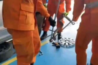 Corpo de Bombeiros resgata jiboia dentro de carro em Lagarto, Sergipe.