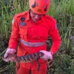 resgate-jacare-bombeiros-lagarto-sergipe