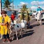 Desfile de tratores e carroças enfeitadas com palhas de coqueiro e bandeirolas coloridas cruzando a avenida principal da Colônia 13.