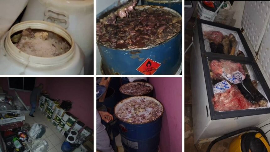 Imóvel residencial em Lagarto utilizado como depósito clandestino de produtos de origem animal.