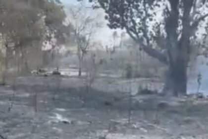 Terrenos atingidos por incêndio em vegetação no Povoado Limoeiro em Lagarto.