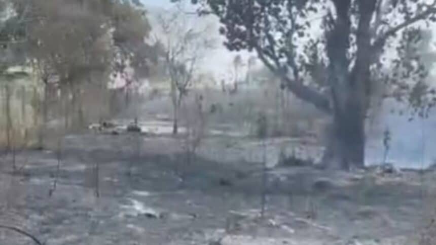 Terrenos atingidos por incêndio em vegetação no Povoado Limoeiro em Lagarto.