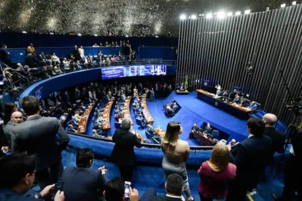 votação no Plenário do Senado Federal.